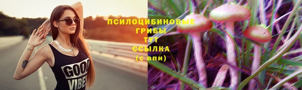 гидропоника Беломорск