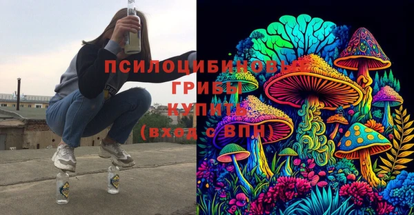 амф Белоозёрский