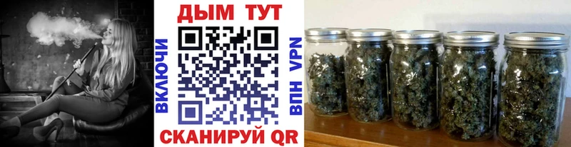Бошки Шишки ГИДРОПОН  Красный Холм 